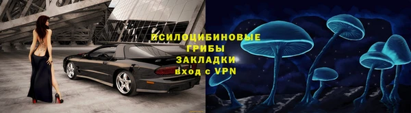 бошки Богданович