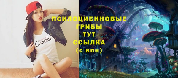 бошки Богданович
