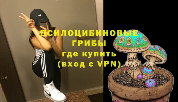 мескалин Богородицк