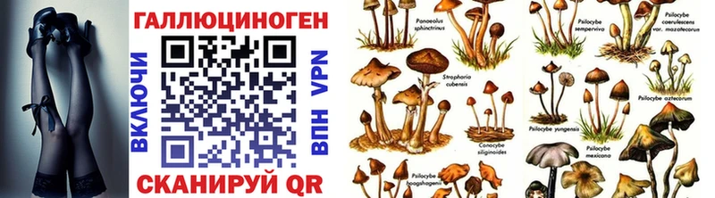 Галлюциногенные грибы ЛСД  Горнозаводск 